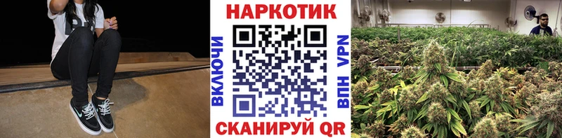 Какие есть наркотики Пудож COCAIN  Галлюциногенные грибы  Меф  ГАШ  Конопля  АМФЕТАМИН 