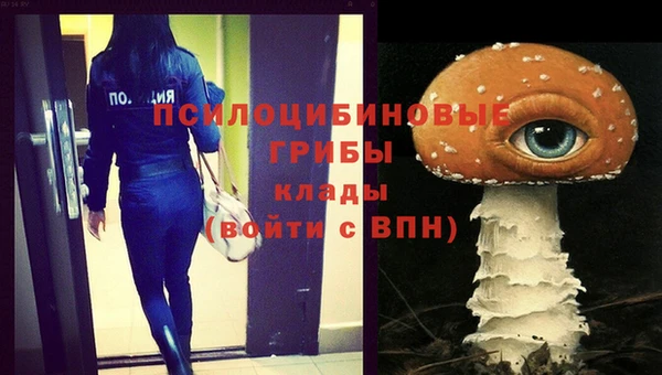 каннабис Аркадак
