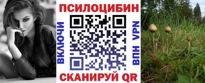 где можно купить наркотик  ссылка на мегу как войти  Галлюциногенные грибы Magic Shrooms  это клад  Пудож 