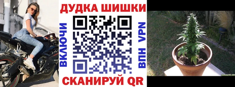купить сайты Пудож Марихуана индика